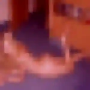 Anne-Sophie, 28 ans, veut un rencontre coquine à Mont-Saint-Martin