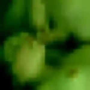 Sexy Oumaima, 30 ans à Montaigu-Vendée - la contacter