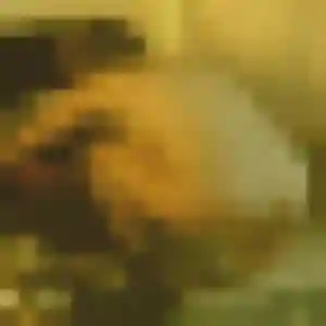 Blanche (41 ans) à Mulsanne cherche une rencontre rapidement