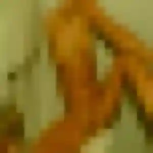 Thais (19 ans) à Naintré cherche un rencontre coquine maintenant