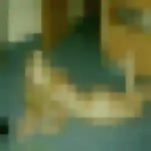 Ophelie, 42 ans, en ligne à Noisy-le-Roi pour une rencontre coquine