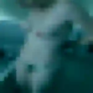 Agathe, fille de 41 ans propose rencontre coquine à Passy