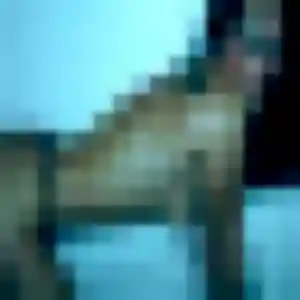 Anouk, femme de 23 ans cherche rencontre coquine à Plédran