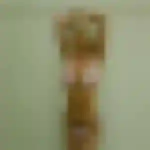 rencontre coquine à Plescop : photo de Dina, 40 ans - sans engagement