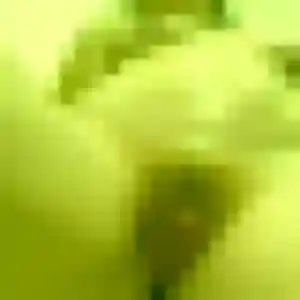 Melodie, femme de 19 ans veut rencontre coquine à Plescop