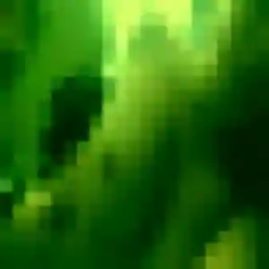 Profil de Ursule à Plougastel-Daoulas (20 ans) - rencontre coquine discret