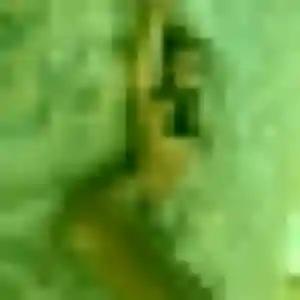 Fanny, 23 ans, dispo pour rencontre coquine à Porto-Vecchio