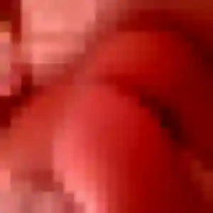 Découvre Ariane, 41 ans à Roncq gratuitement