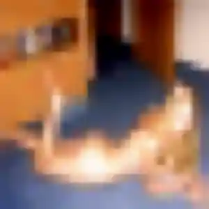Mia, 34 ans, dispo pour rencontre coquine à Royan