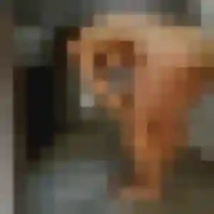 Lea (27 ans) à Saint-André attend un rencontre coquine rapidement