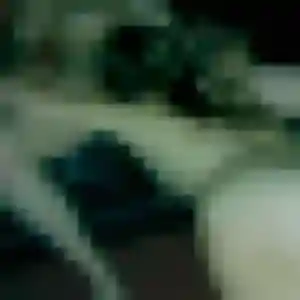Rejoins Camille, 29 ans à Saint-Florent-sur-Cher en t'inscrivant