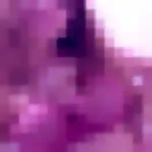 Jolie Renee, 36 ans à Saint-François - voir sa photo