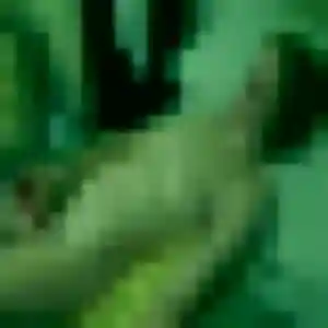 Contacte Geneve, 20 ans à Saint-Philippe en t'inscrivant