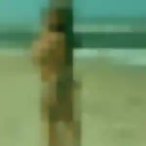 Daniela, 33 ans, dispo pour rencontre coquine à Saint-Saturnin-lès-Avignon