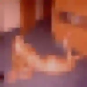 Profil de Myriam à Salon-de-Provence (36 ans) - rencontre coquine discret