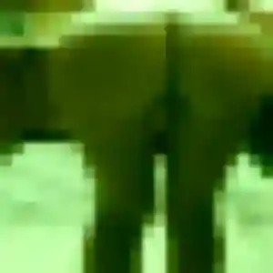 Yael, 20 ans, connectée à Sèvremont pour une rencontre coquine