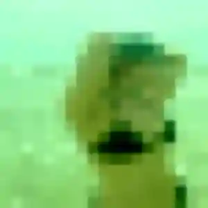 Karima, 31 ans, en ligne à Téteghem-Coudekerque-Village pour un rencontre coquine