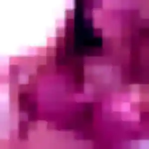 Oriane, femme de 39 ans veut rencontre coquine à Tourcoing
