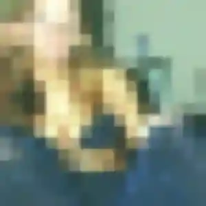 Magalie, femme de 42 ans propose rencontre coquine à Trélazé