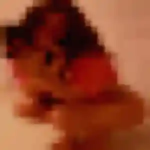 Mylene, 32 ans, cherche un rencontre coquine à Vallons-de-l'Erdre