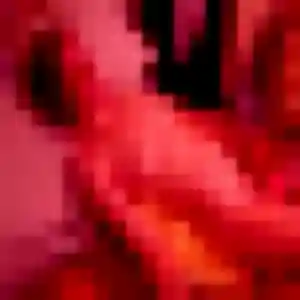 Photo exclusive de Vicky, 34 ans à Vanves - rencontre sans lendemain
