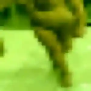 Profil de Mathilda à Verdun (33 ans) - rencontre coquine gratuit