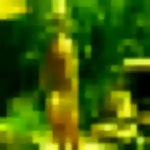 Photo de Cassandre à Vergèze (38 ans) - rencontre coquine discret