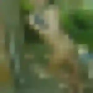 Tessa, 34 ans, en ligne à Vertou pour un rencontre coquine