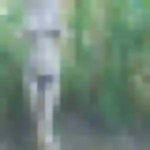 rencontre coquine à Villeneuve-la-Garenne : photo de Corinne, 35 ans - accès libre