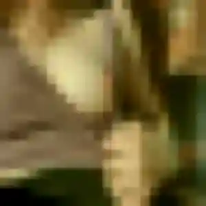 Contacte Tessa, 34 ans à Villeneuve-sur-Yonne en privé