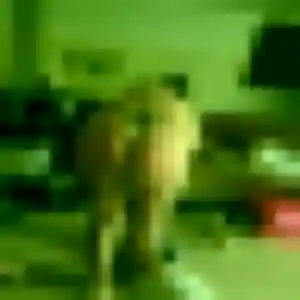 Yael, 36 ans, connectée à Villiers-sur-Marne pour une rencontre coquine