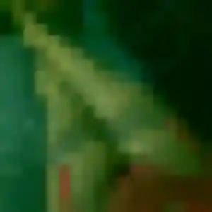Candice, 45 ans, cherche un rencontre coquine à Wasquehal