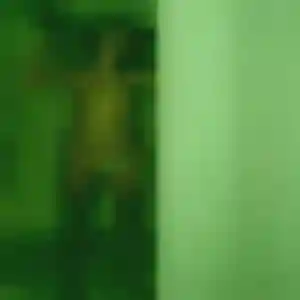 Rencontre Eleonore, 37 ans à Wimereux gratuitement