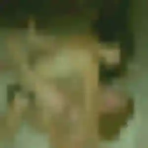 Estelle, 28 ans, veut un rencontre coquine à Yerres